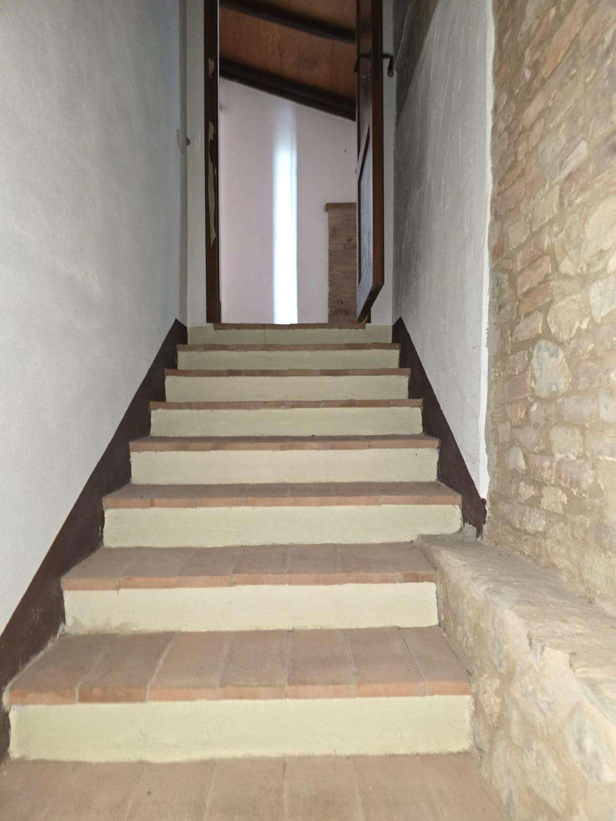  - foto 17