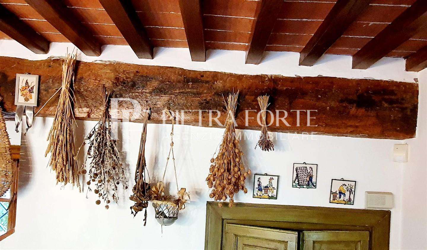  - foto 14