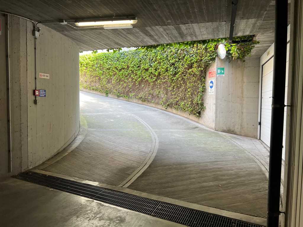 - foto 7