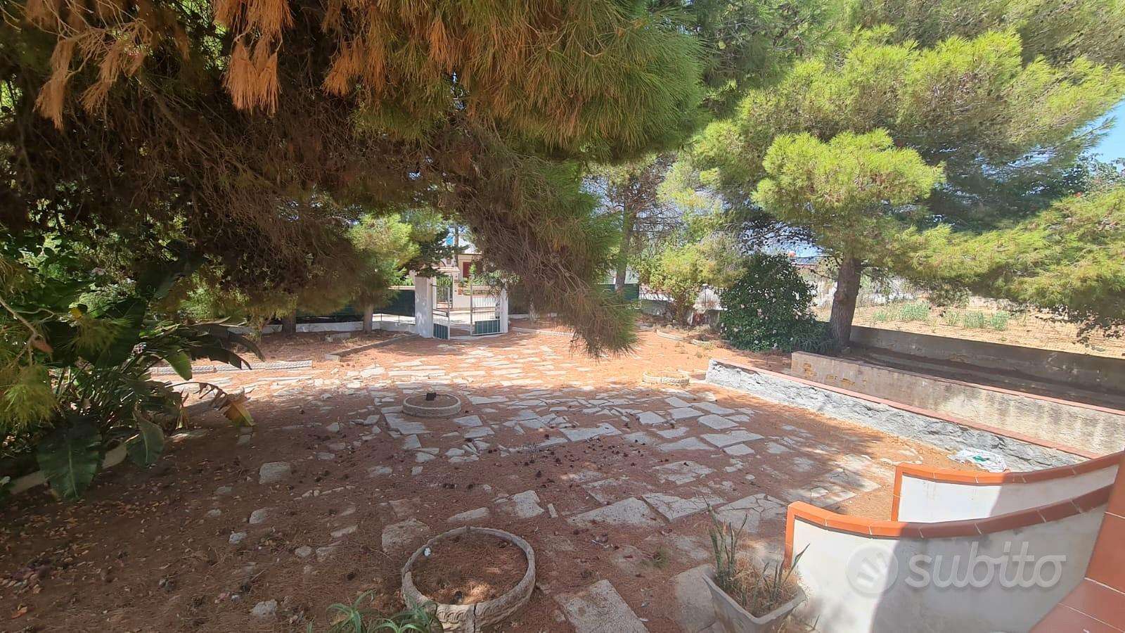  - foto 29