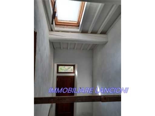  - foto 21