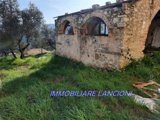  - foto 34