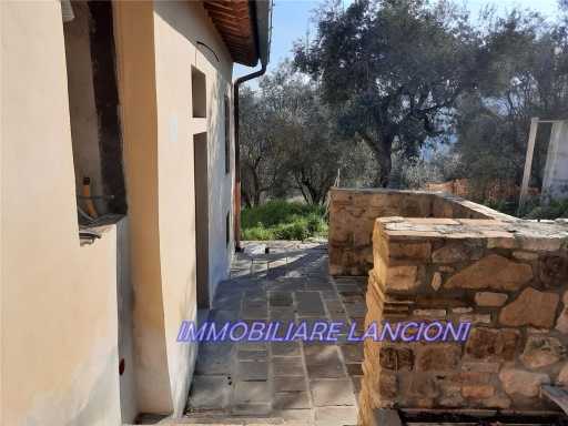  - foto 37
