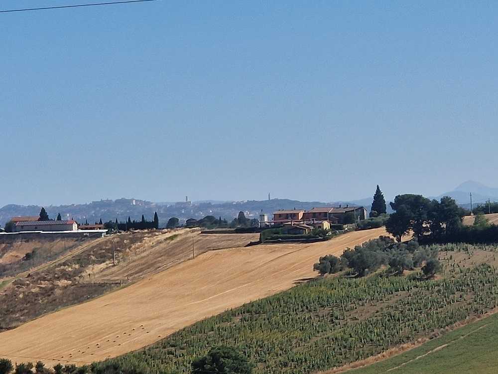  - foto 11