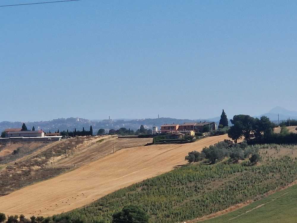  - foto 12