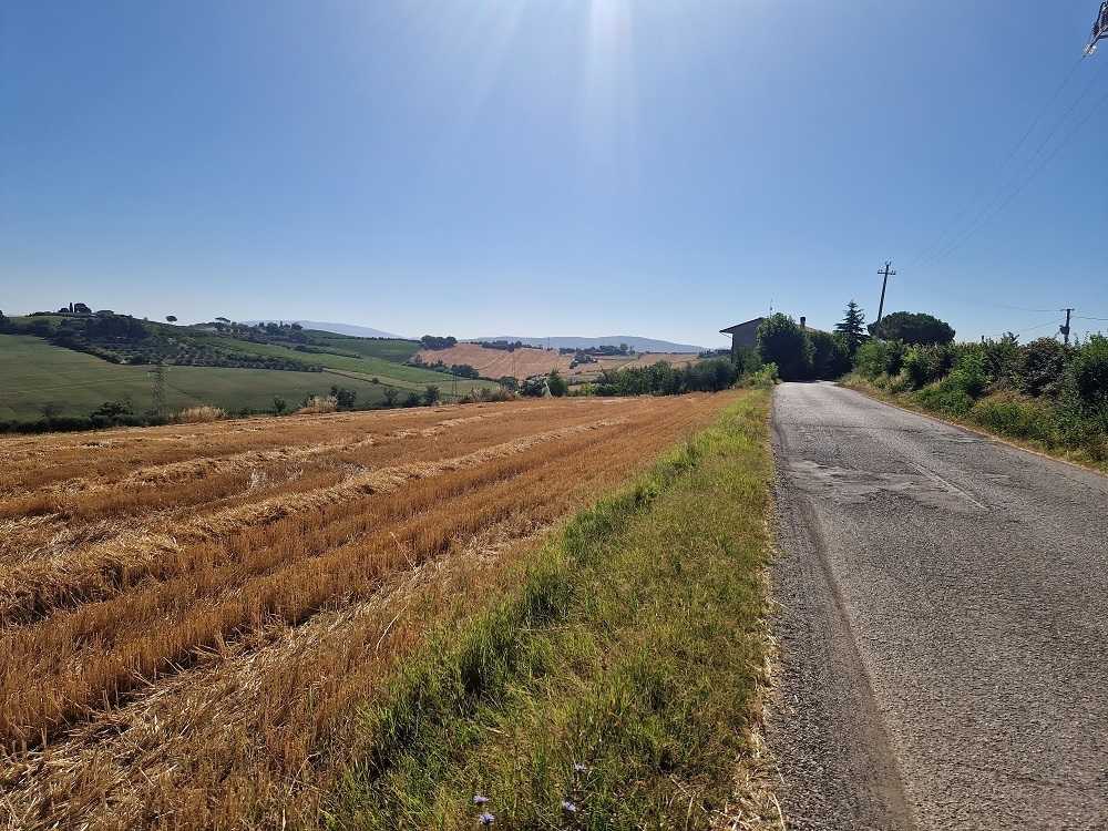  - foto 13