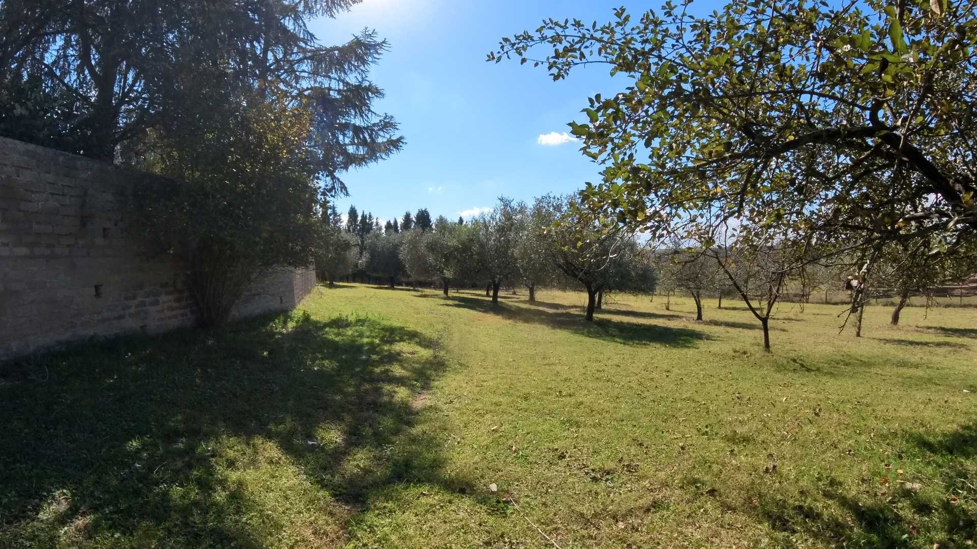  - foto 24