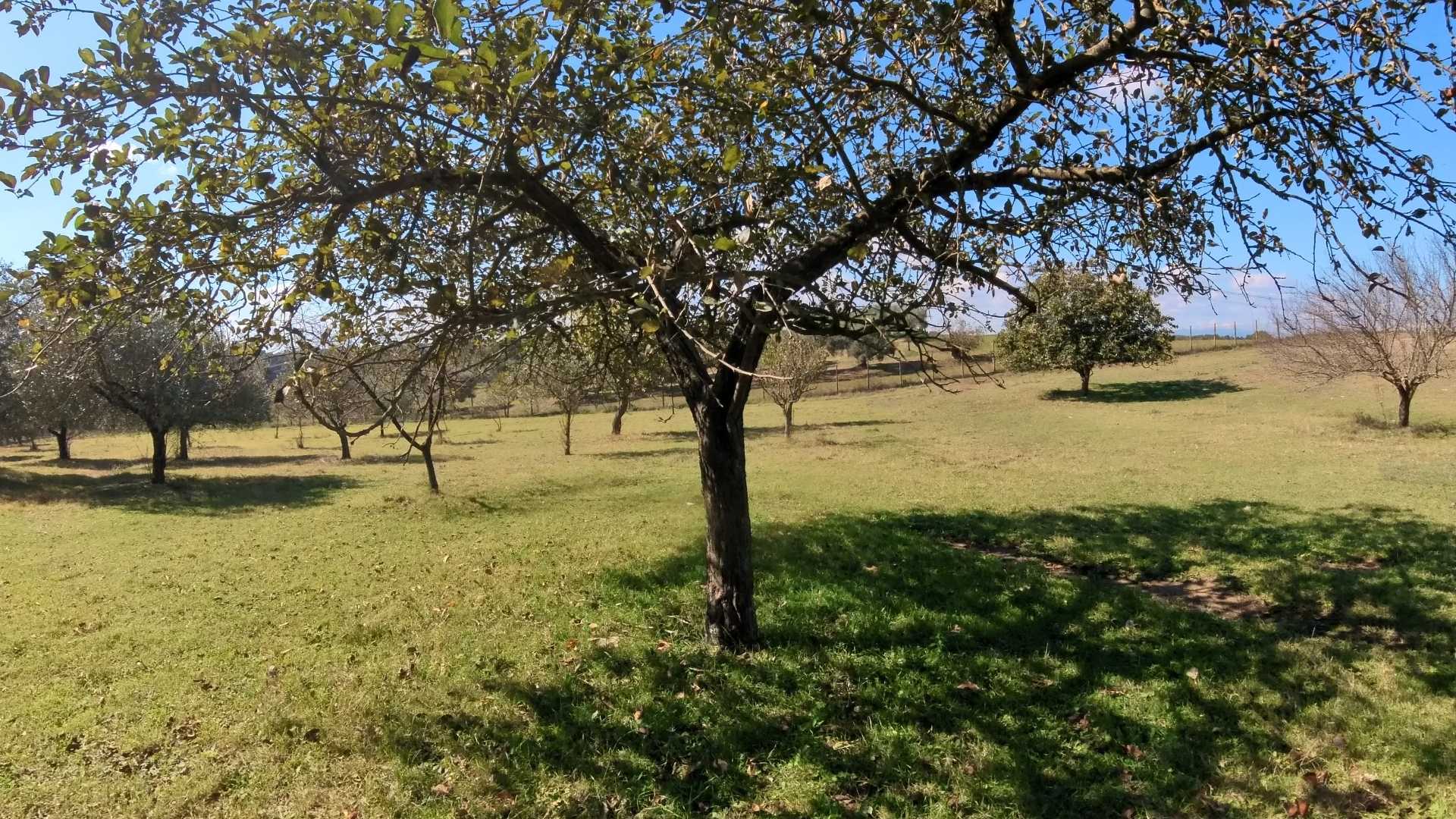  - foto 25