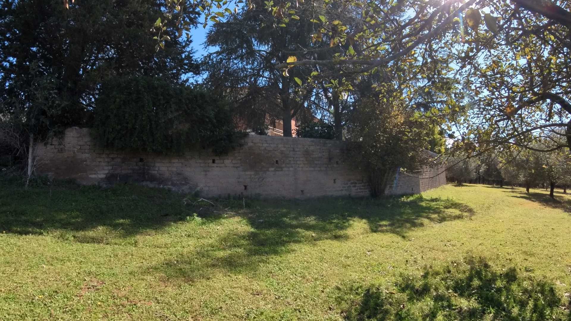  - foto 28