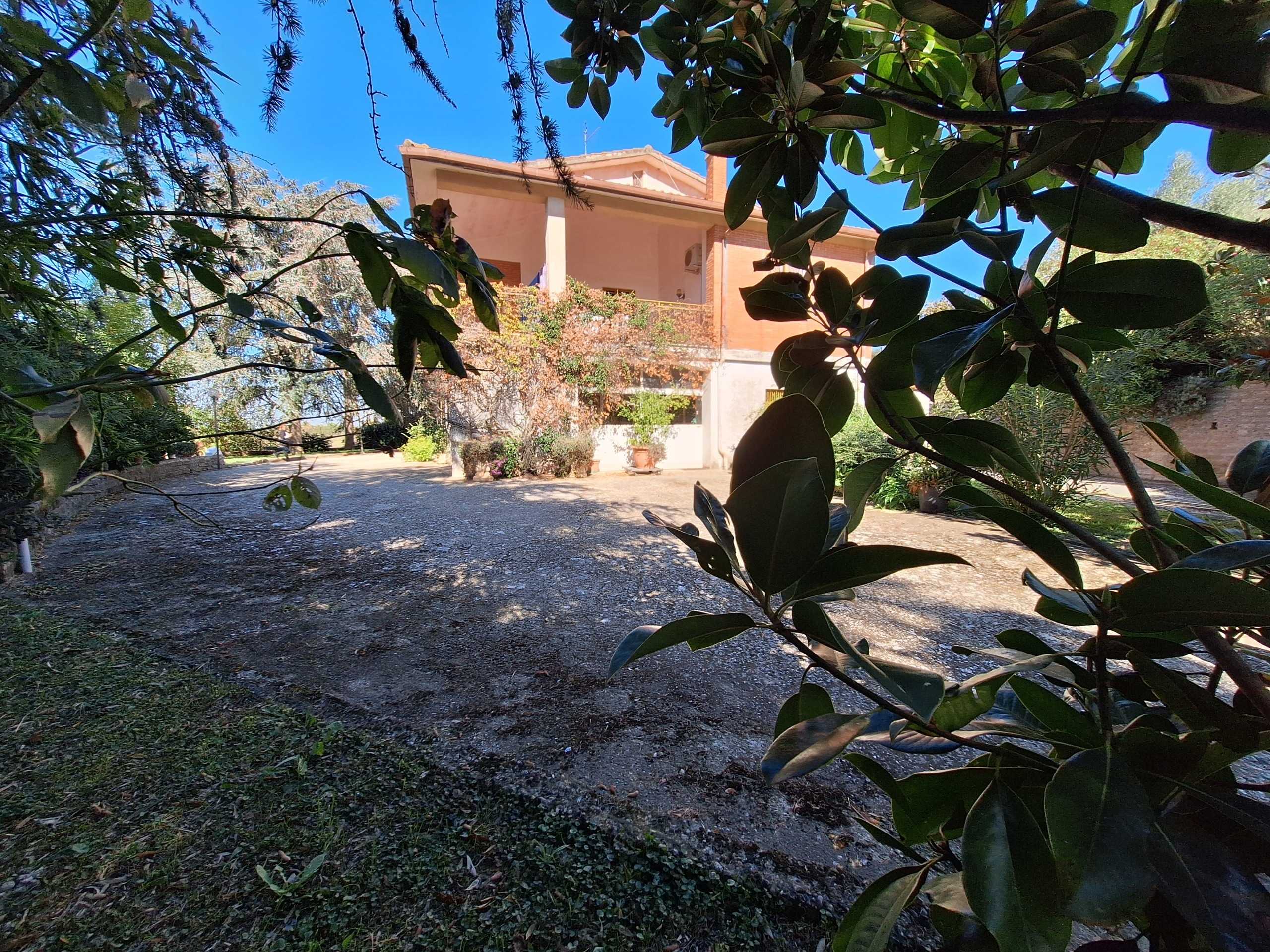 - foto 38