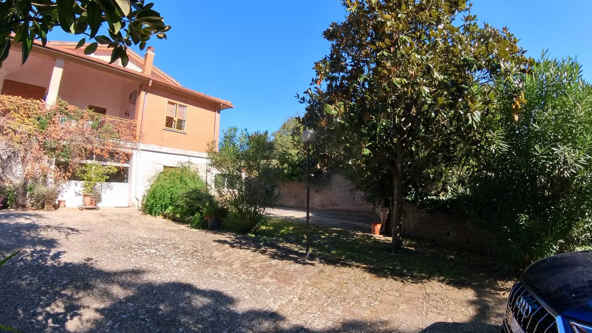  - foto 5