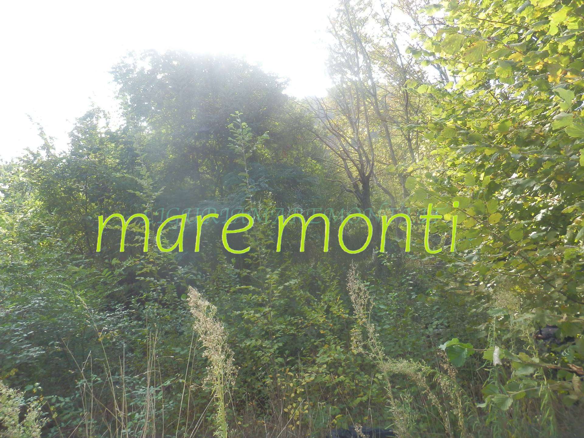  - foto 12