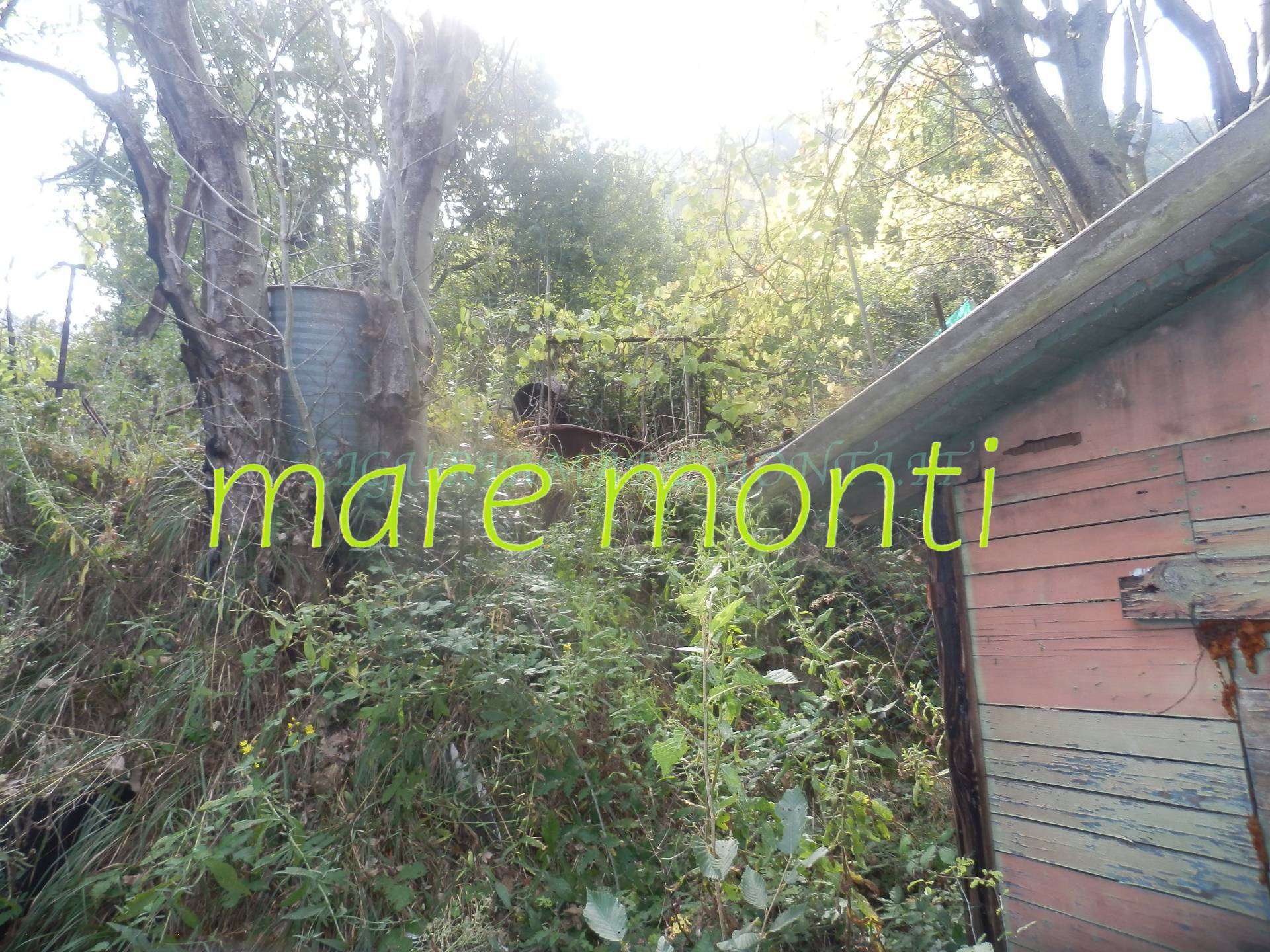  - foto 16