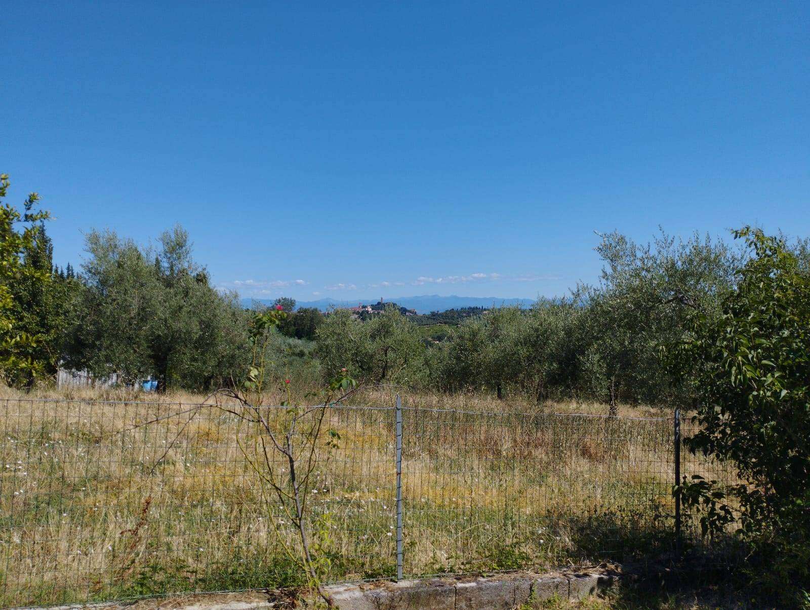  - foto 16