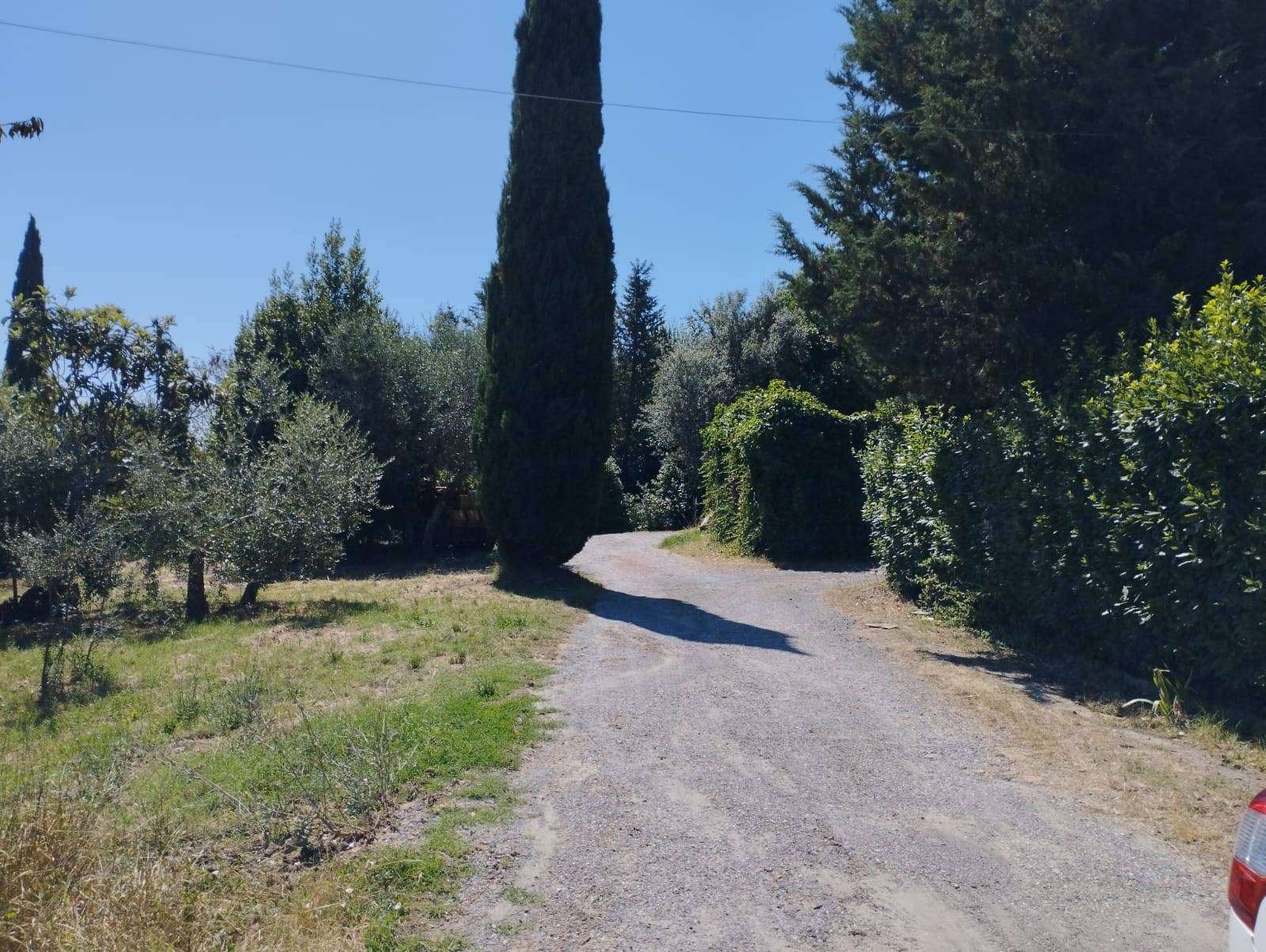  - foto 3