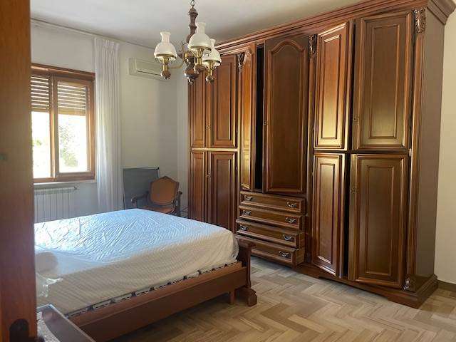  - foto 11