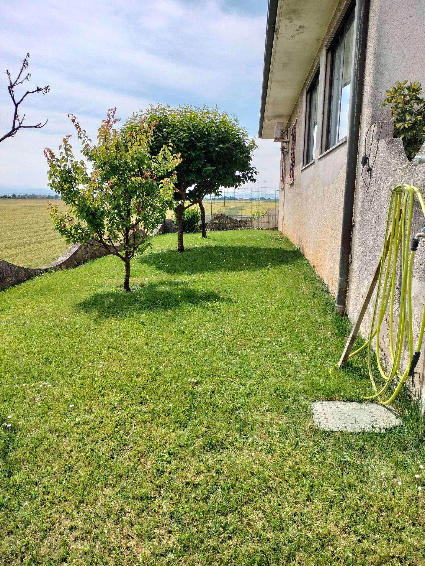  - foto 5