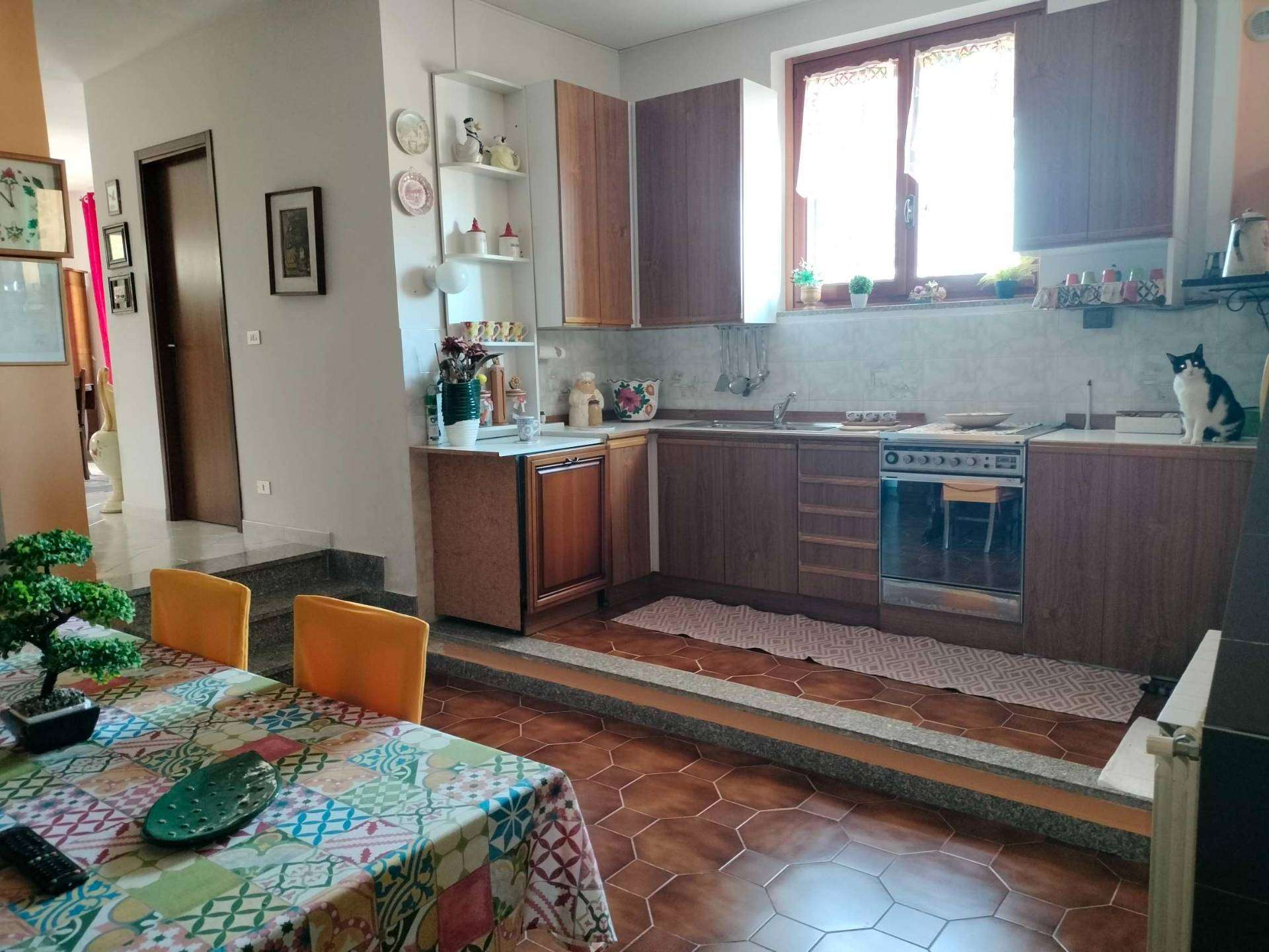  - foto 22