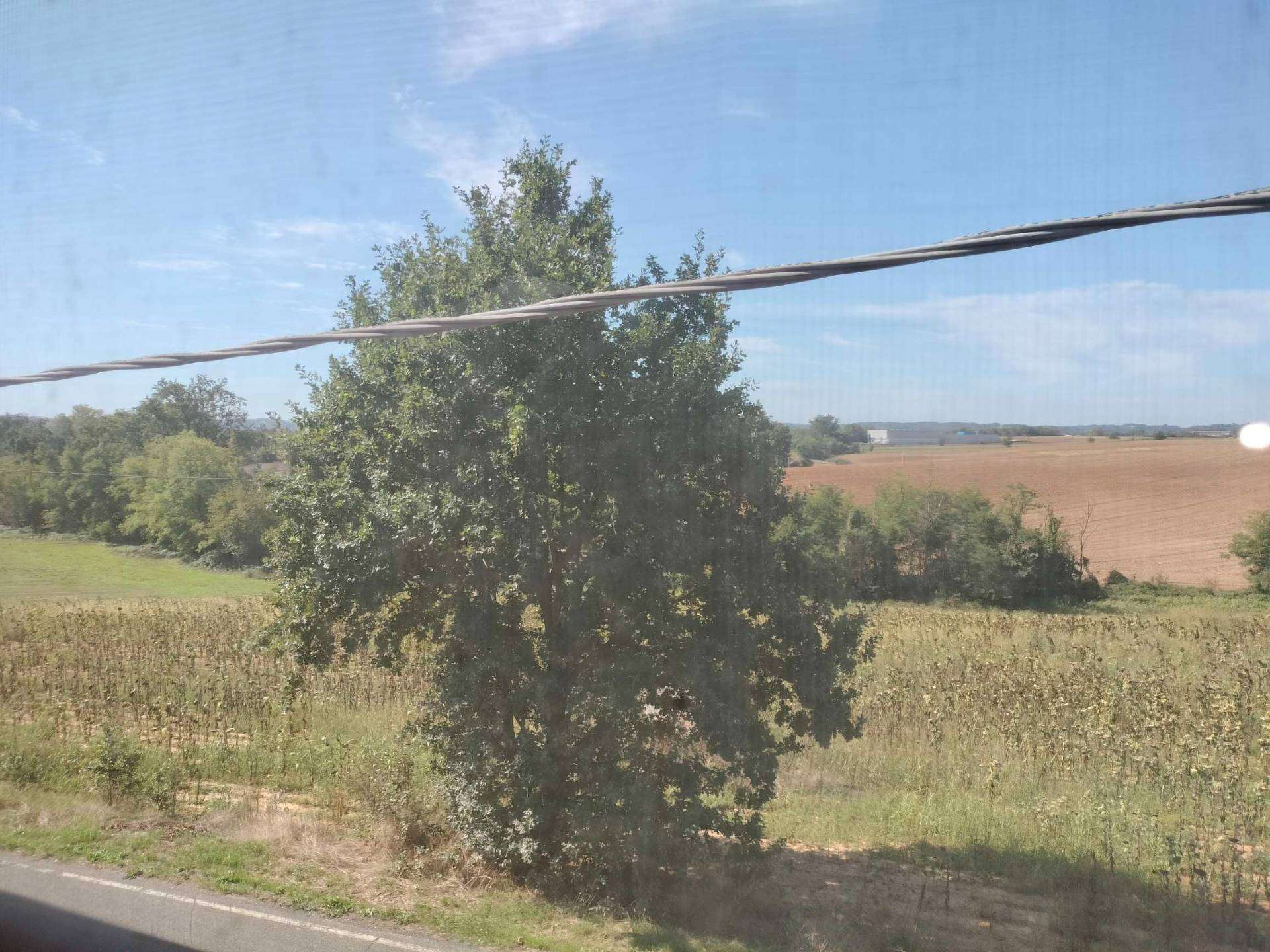  - foto 50