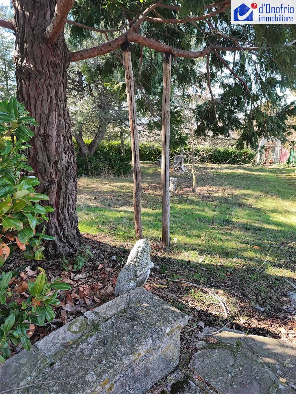  - foto 6
