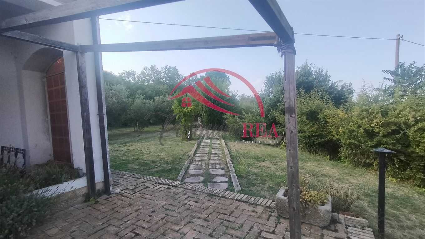  - foto 4
