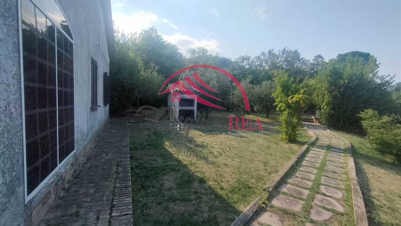  - foto 5