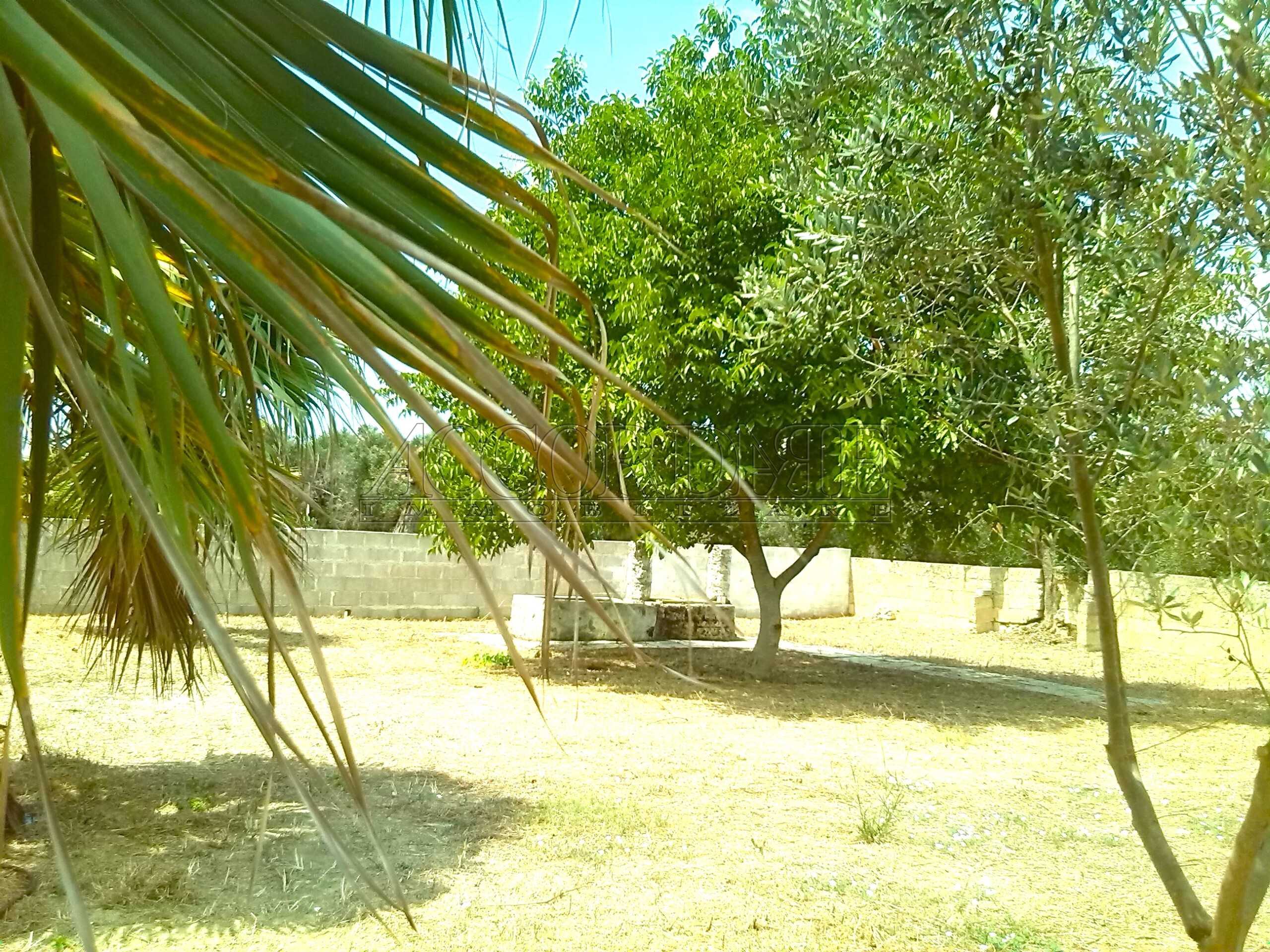  - foto 14
