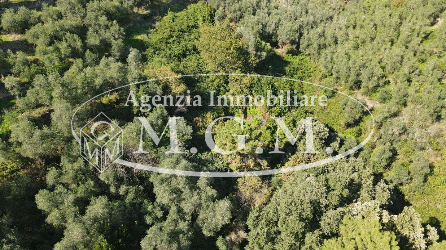  - foto 28