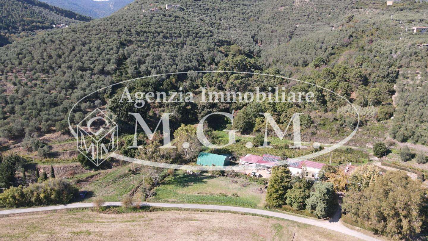  - foto 4