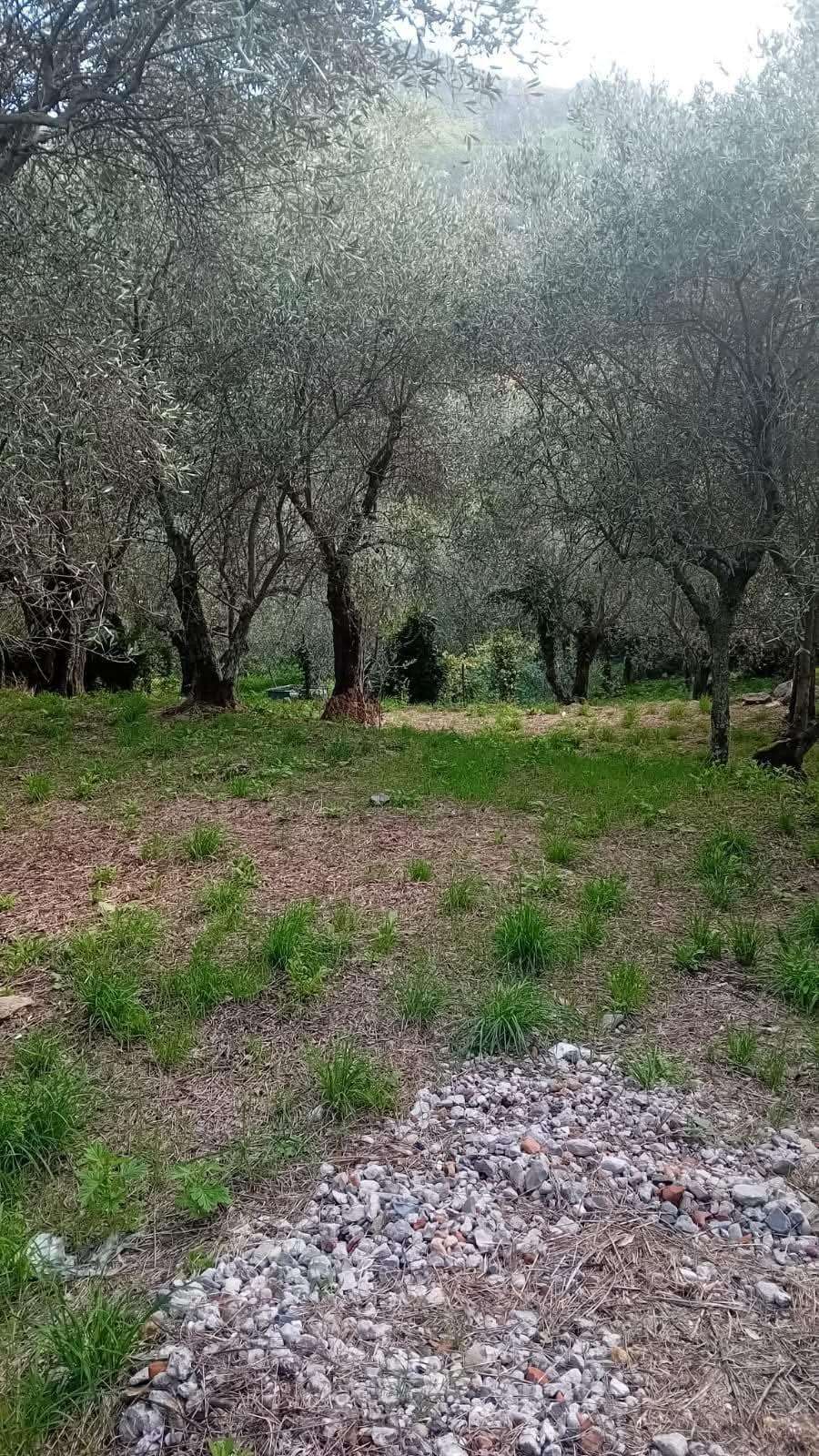  - foto 8