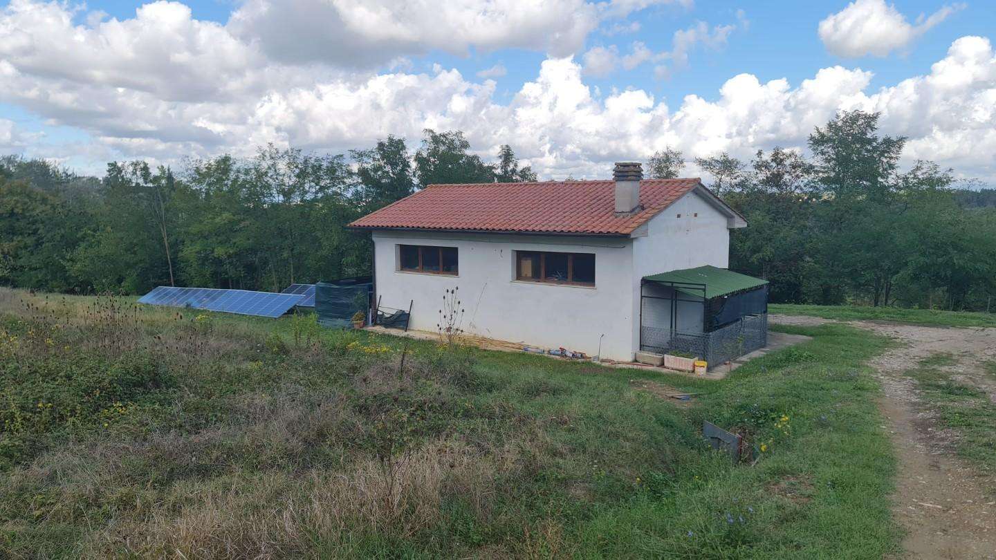  - foto 12
