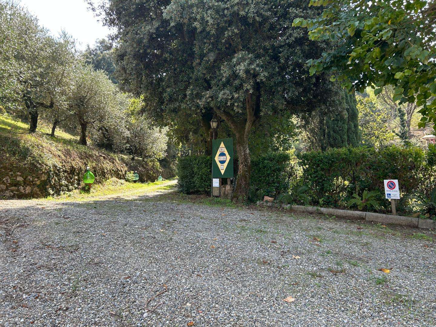  - foto 62