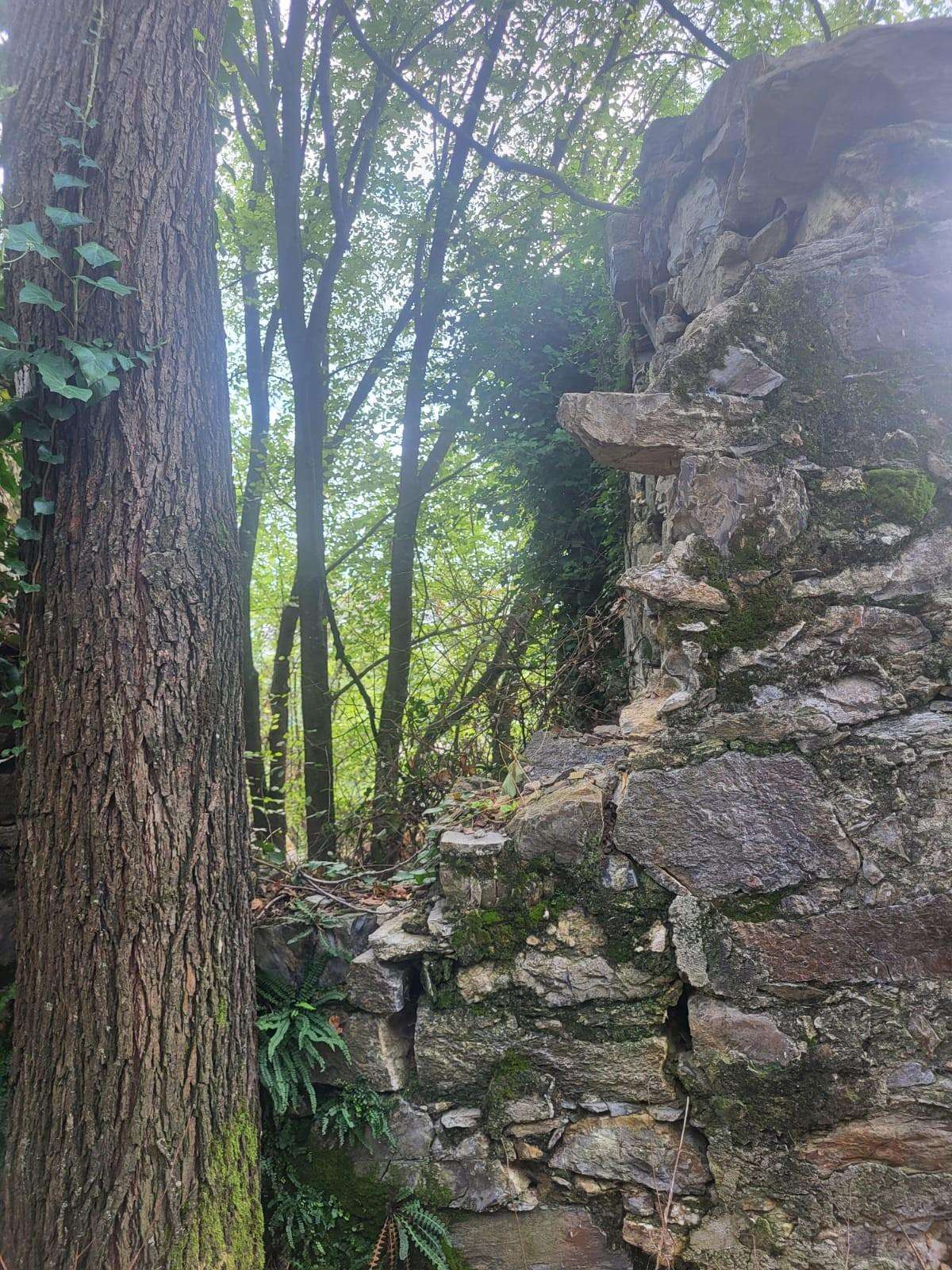  - foto 22