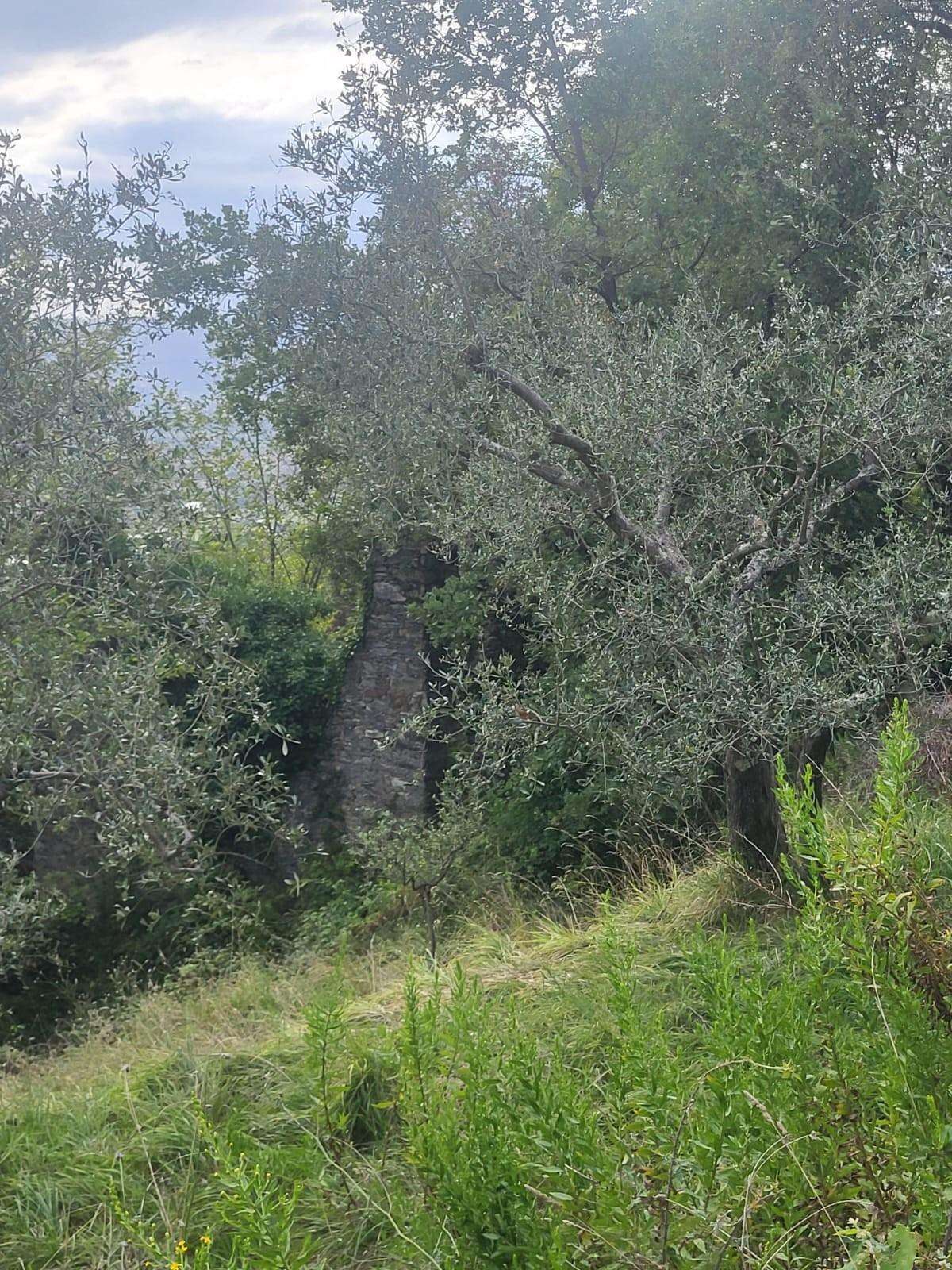  - foto 8