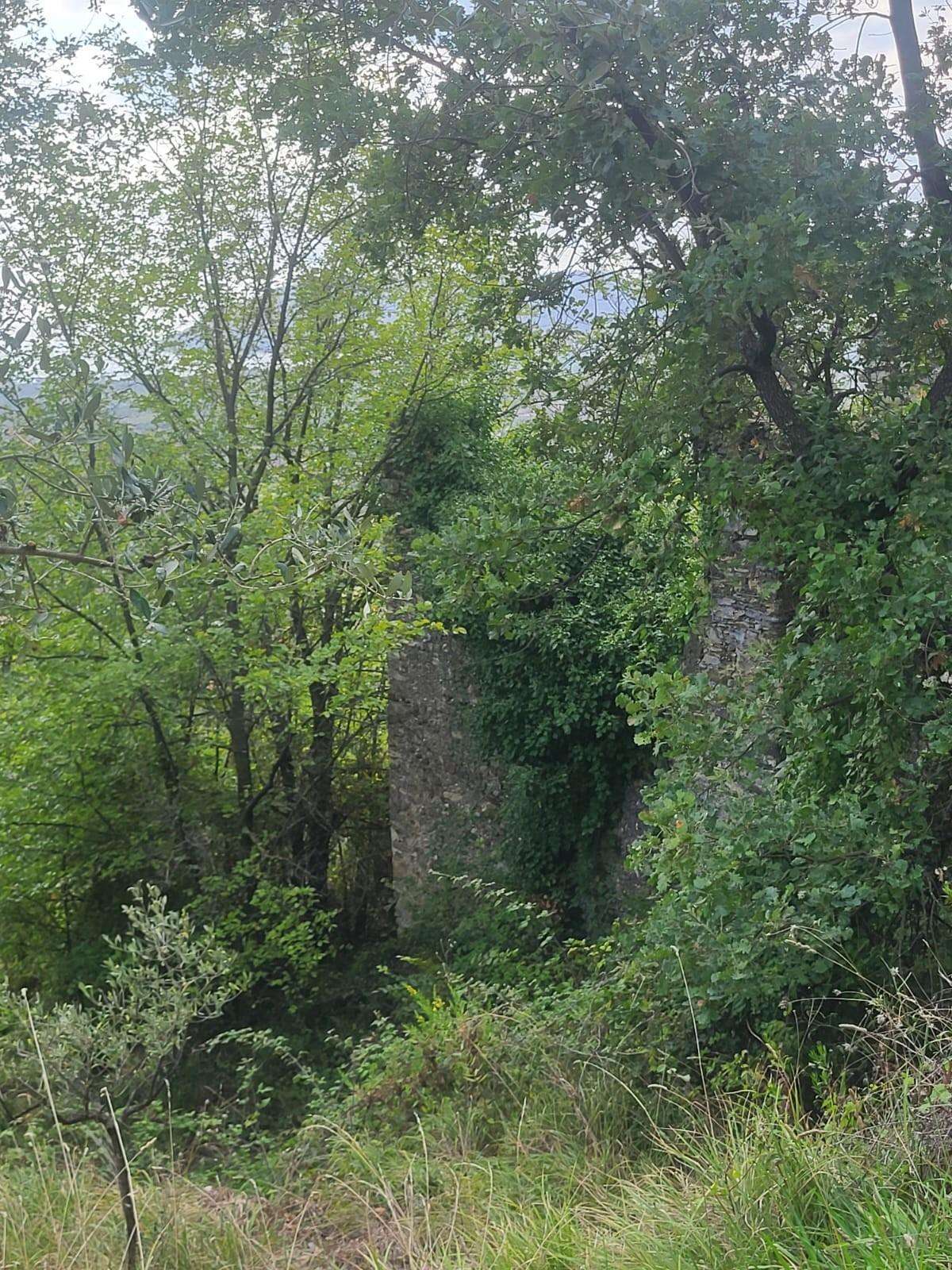  - foto 9