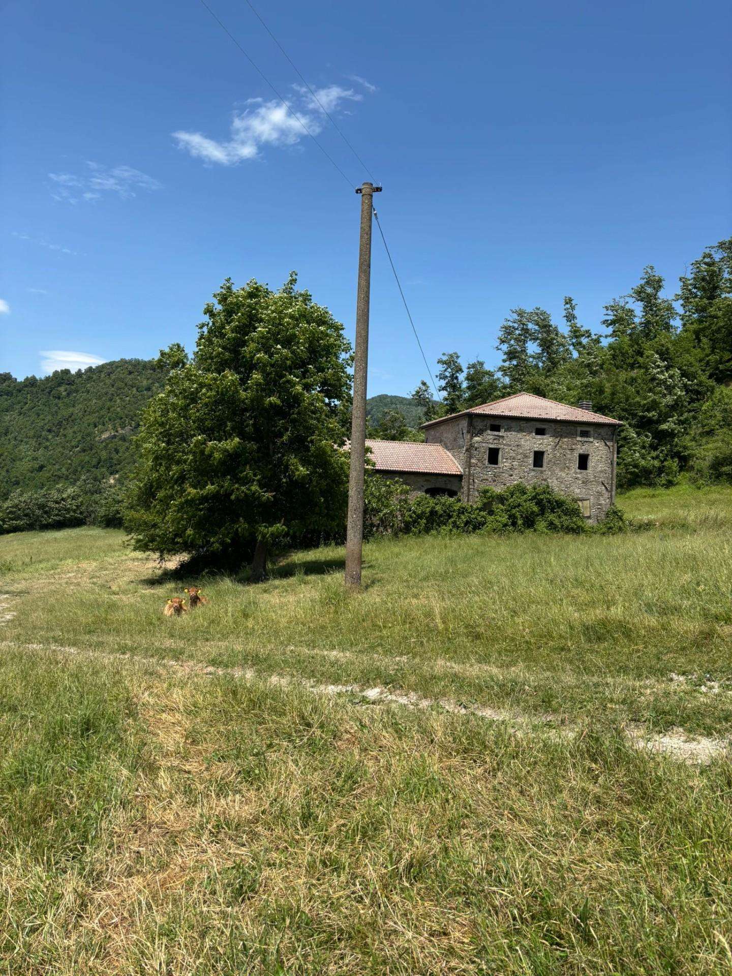  - foto 5
