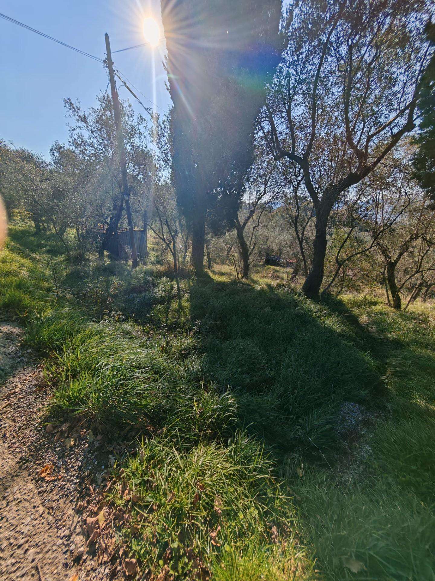  - foto 12