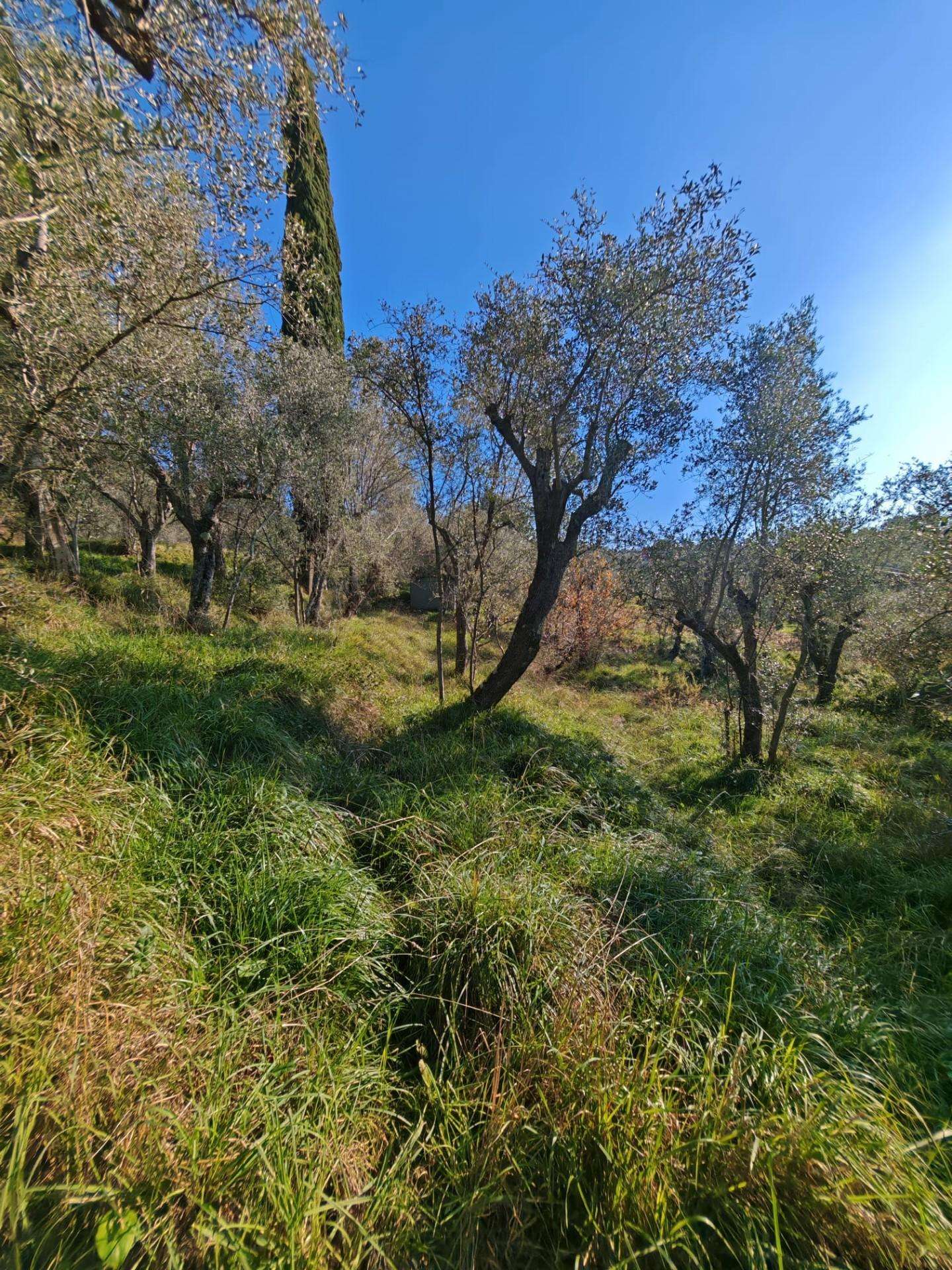  - foto 5