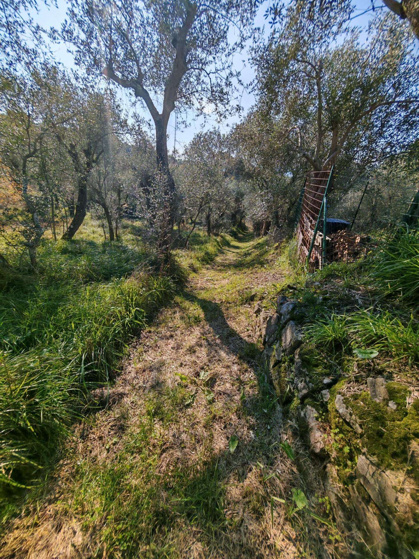  - foto 6