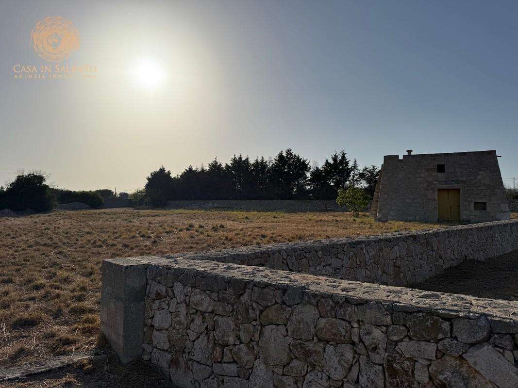  - foto 23