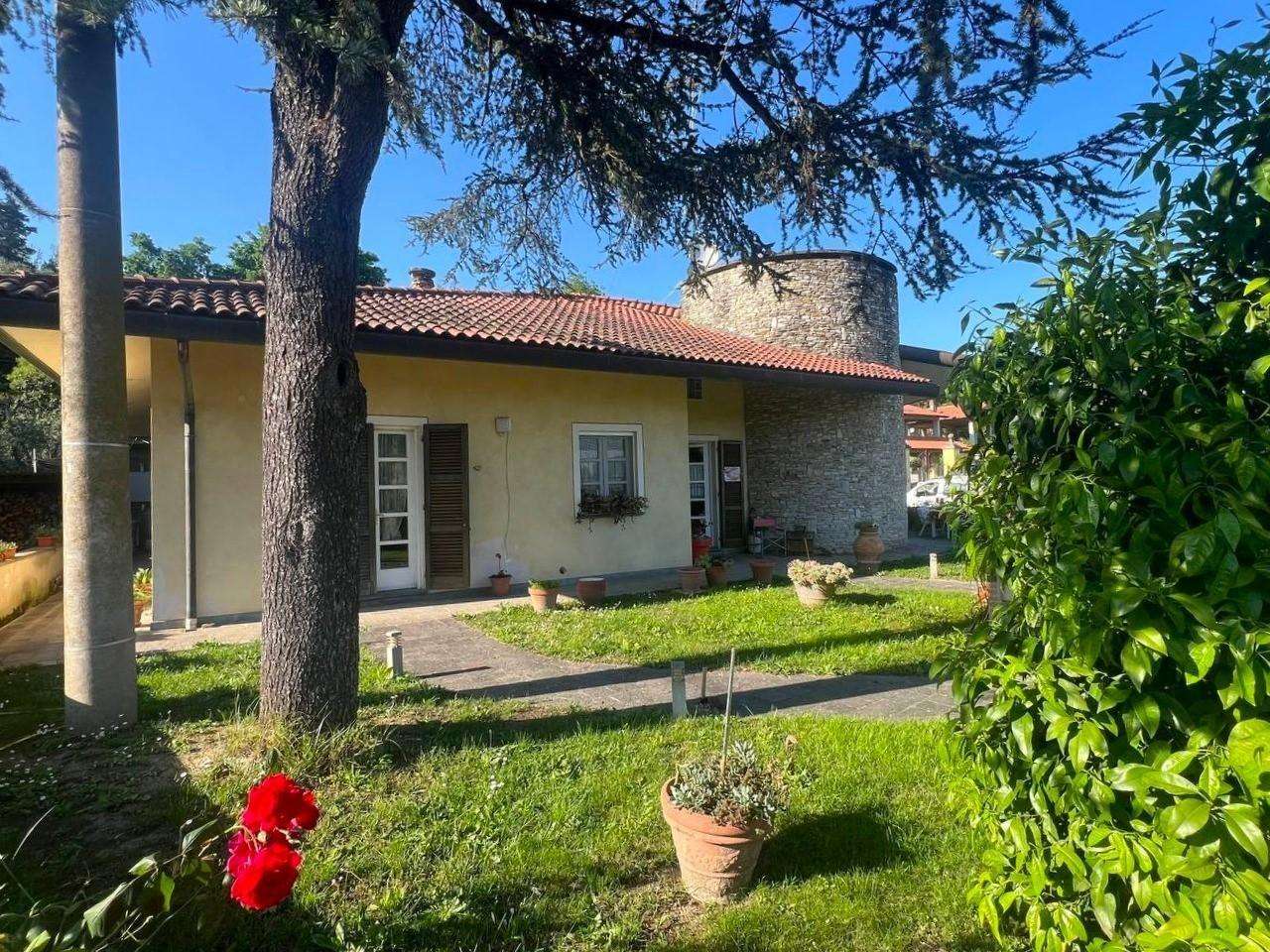 - foto 36