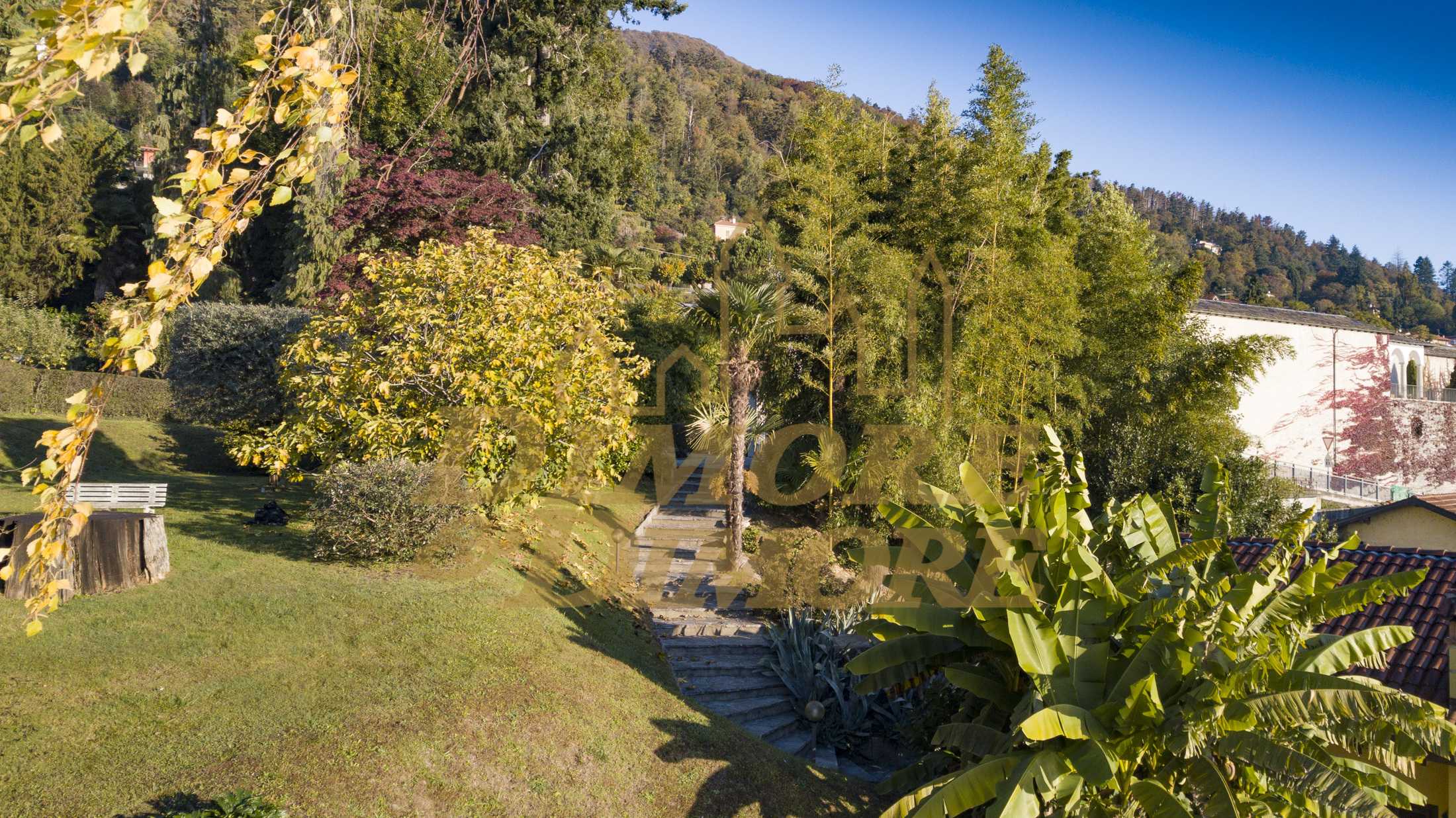  - foto 44