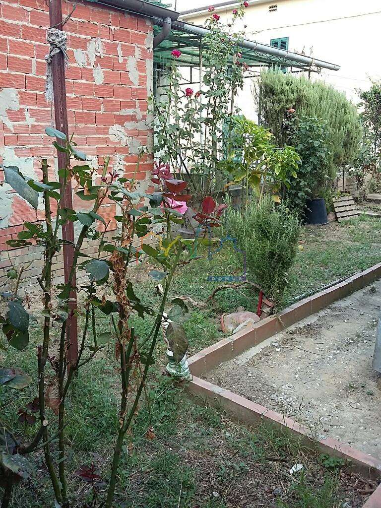  - foto 16