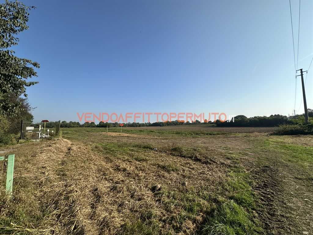  - foto 12