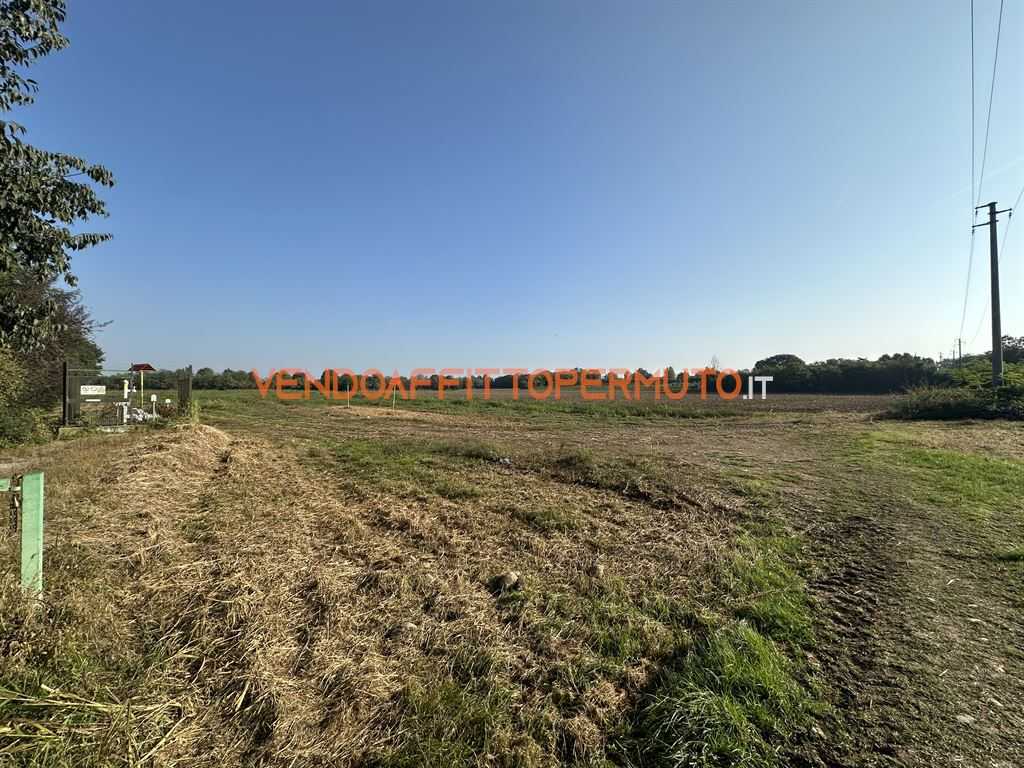  - foto 13