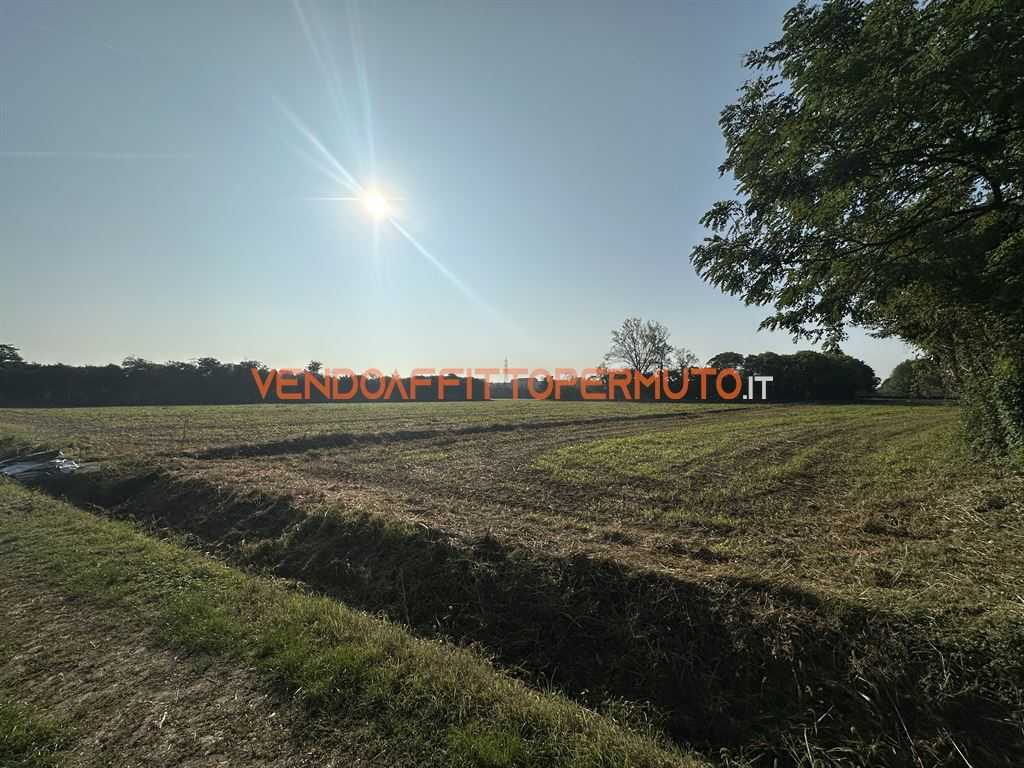  - foto 14