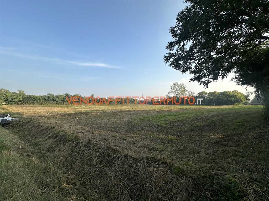  - foto 16