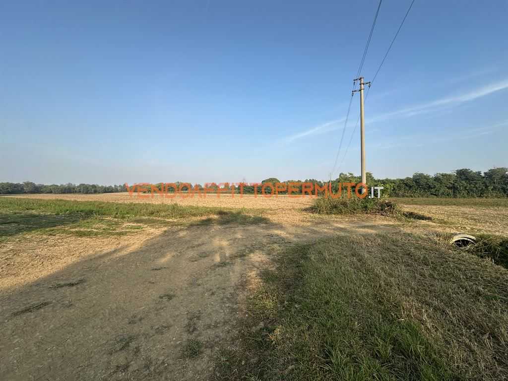  - foto 19