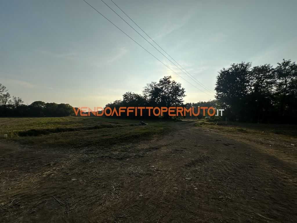  - foto 6