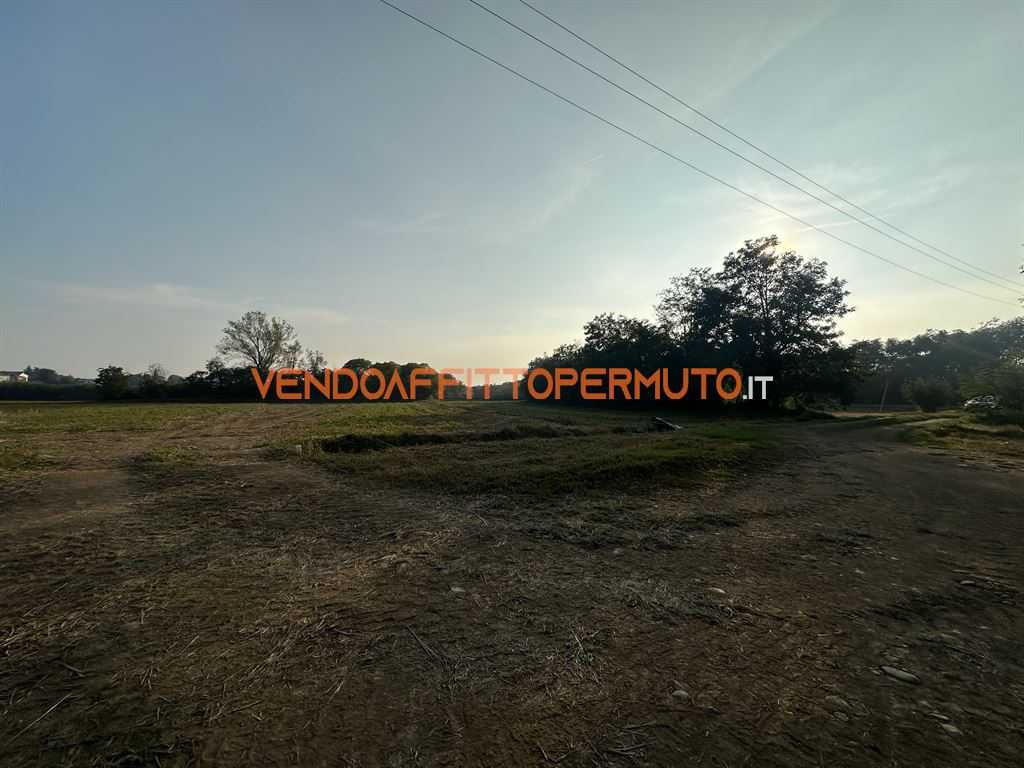  - foto 7
